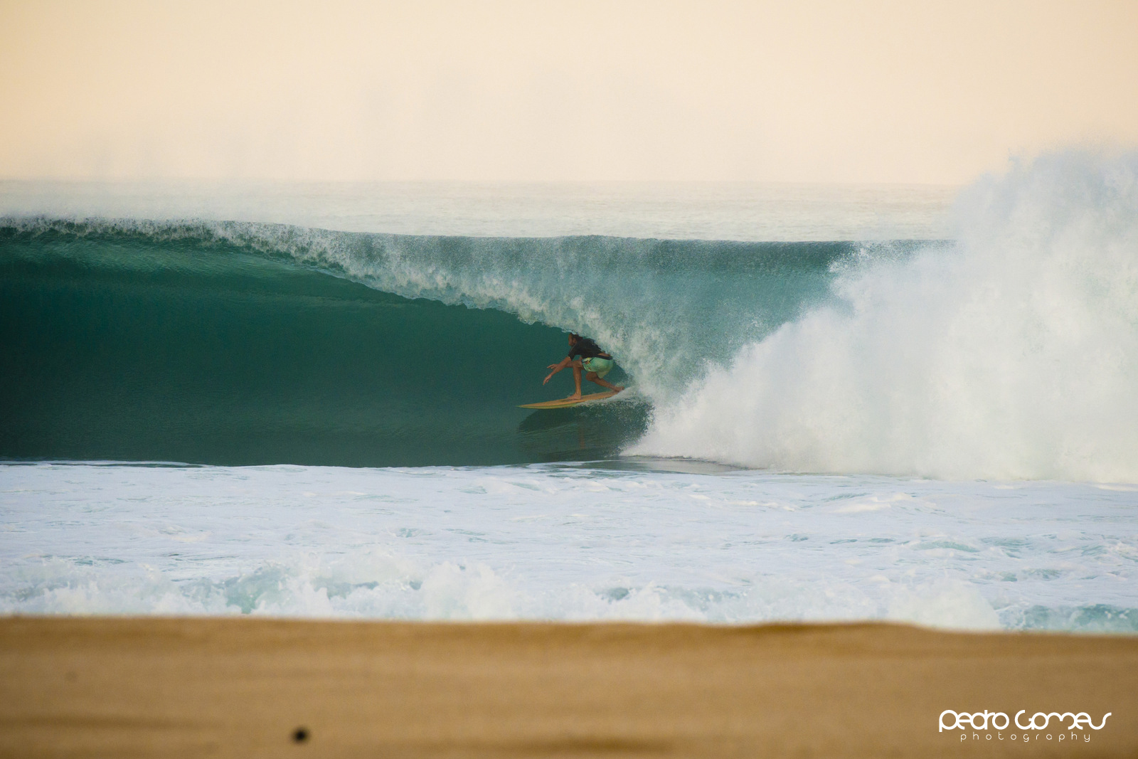 Best Wave Report North Shore The Surf Check