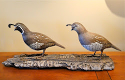 birds homes carved lovers important bird gifts perfect