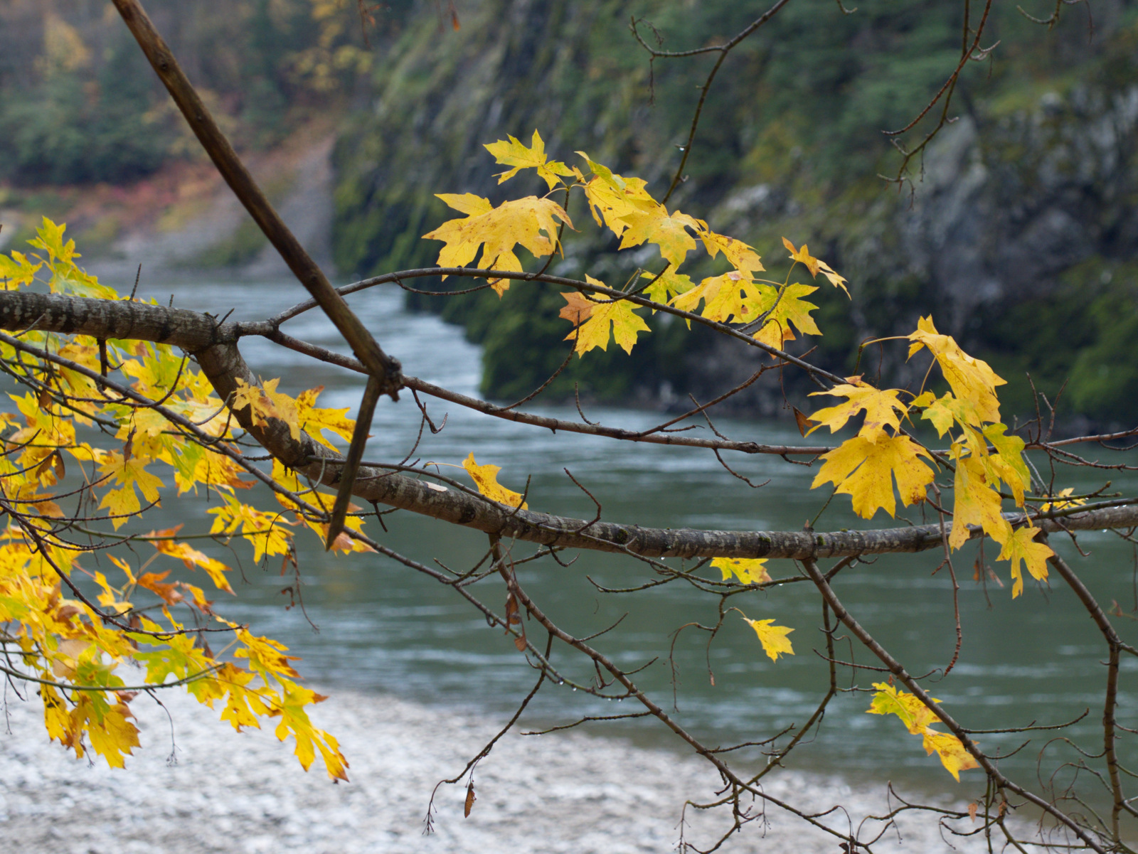 Beyond Australia Yale, BC