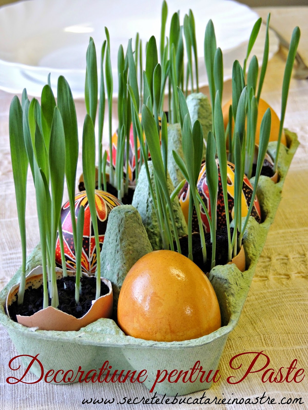 DECORATIUNE PENTRU PASTE