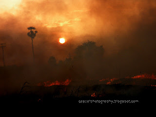 Evening-Sun-Midst-Fumes-Trichy