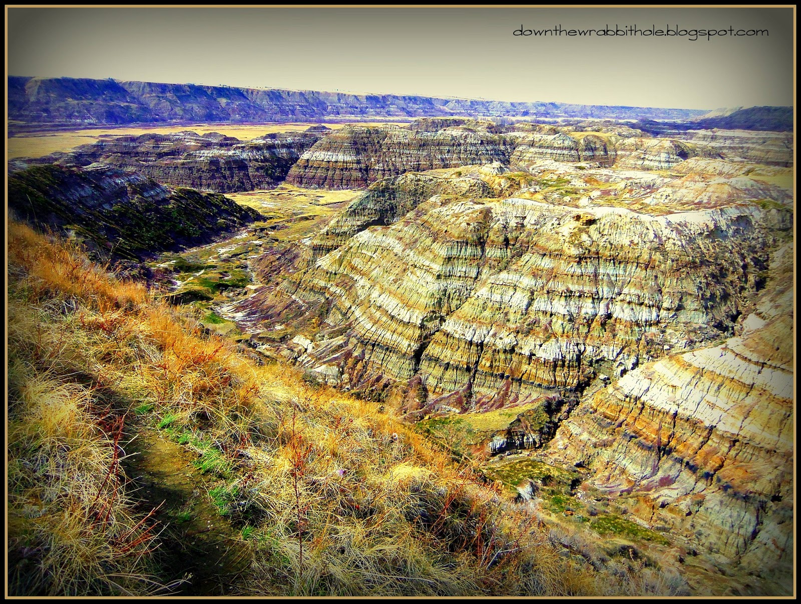 Down the Wrabbit Hole The Travel Bucket List Backyard Bucket List
