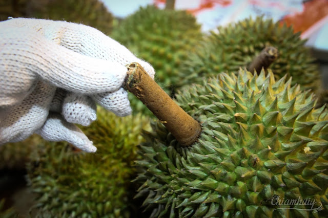 Best+Durian+in+Singapore+ 2