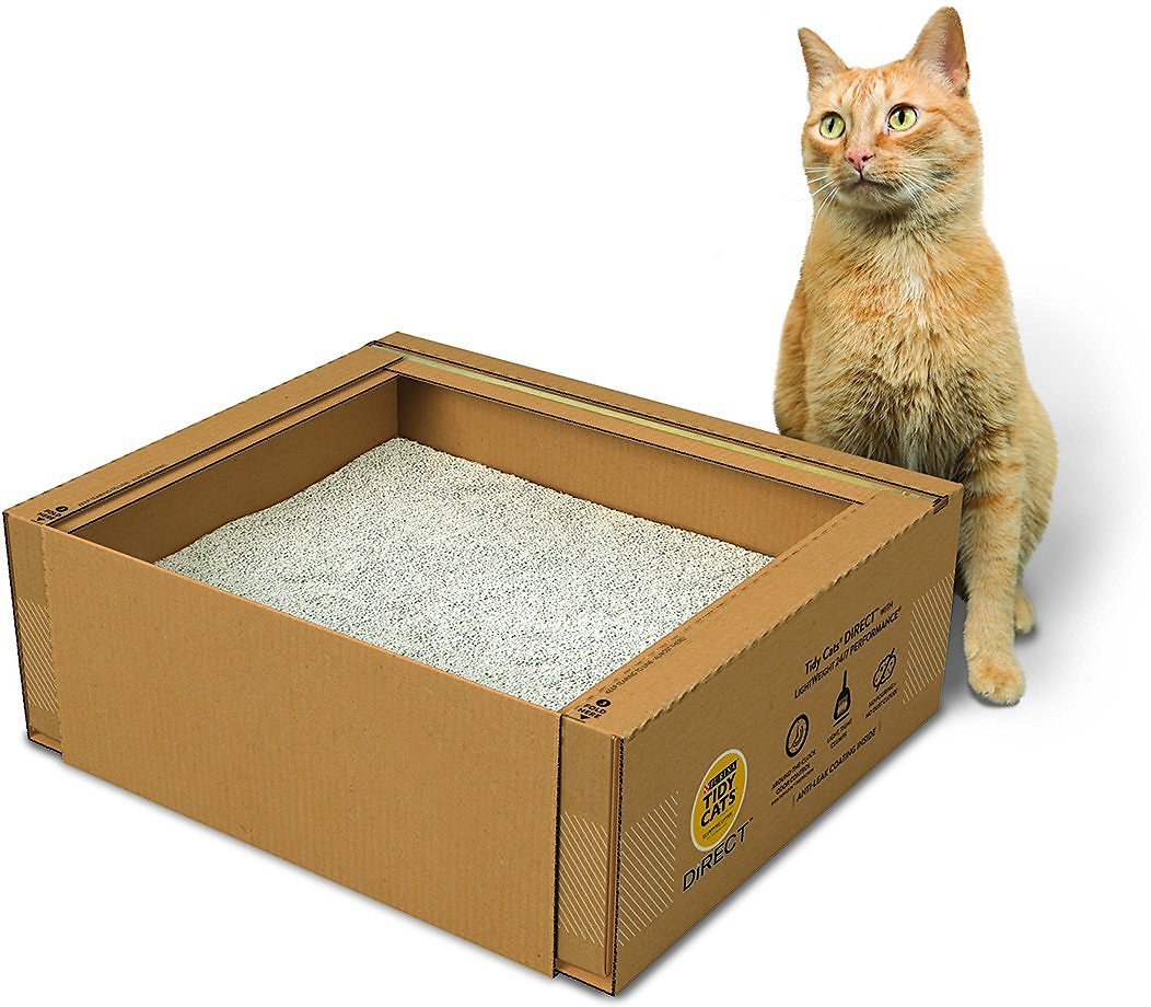 Make Litter Box Maintenance Easy With Tidy Cats Direct Disposable