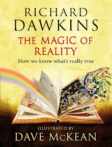 RECOMMENDED: The Magic of Reality