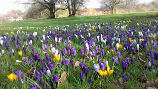 Adswood Park in Cheadle Hulme, Stockport Adswood Park in Cheadle Hulme, Stockport
