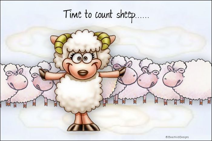 сон овечка. овца спит. сон овечка. сон овечка. ягненок.