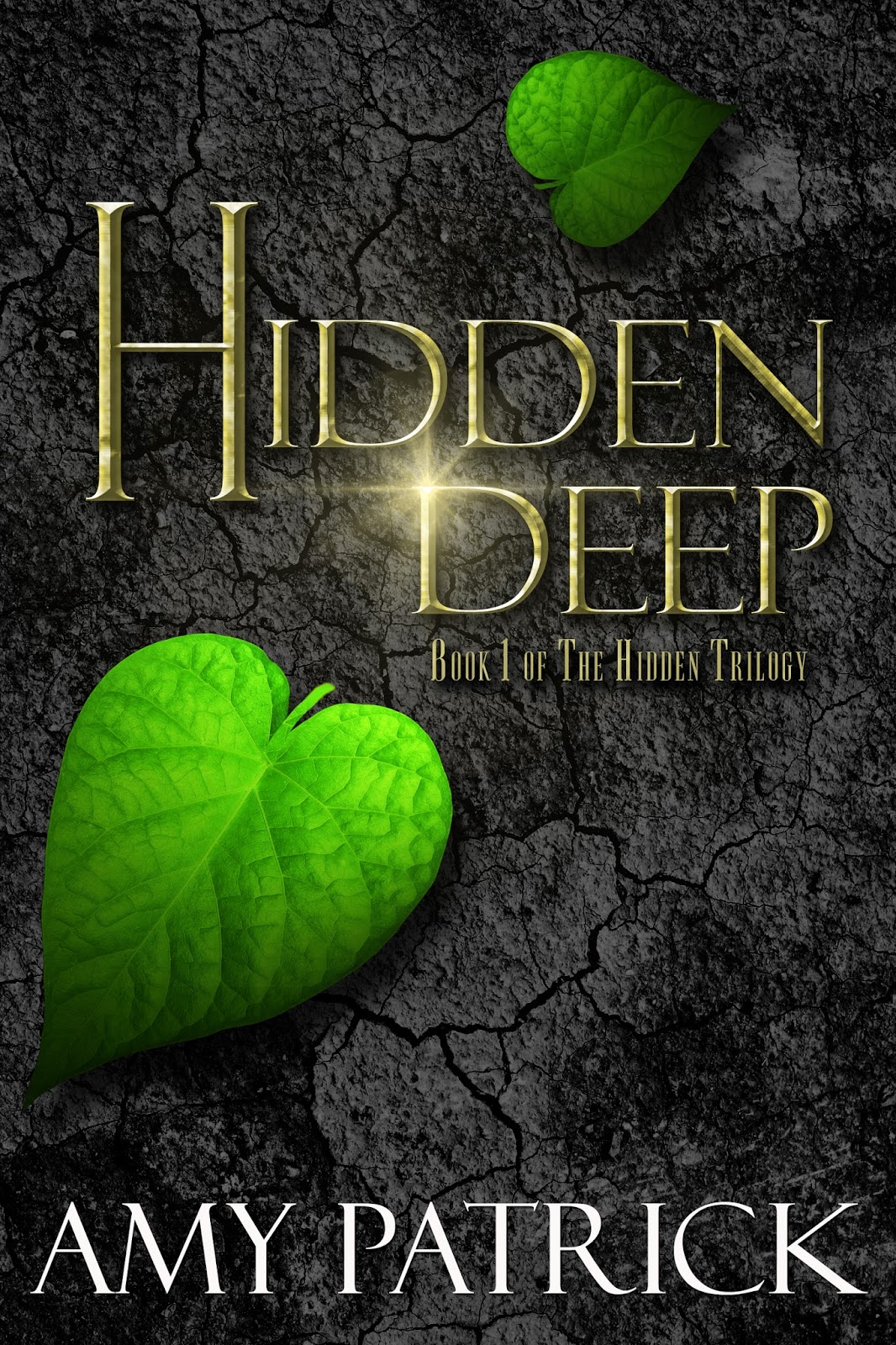 hidden deep book series hidden deep book series