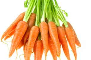 Морковь про 2024 года. Тим морковь. Морковь группа.