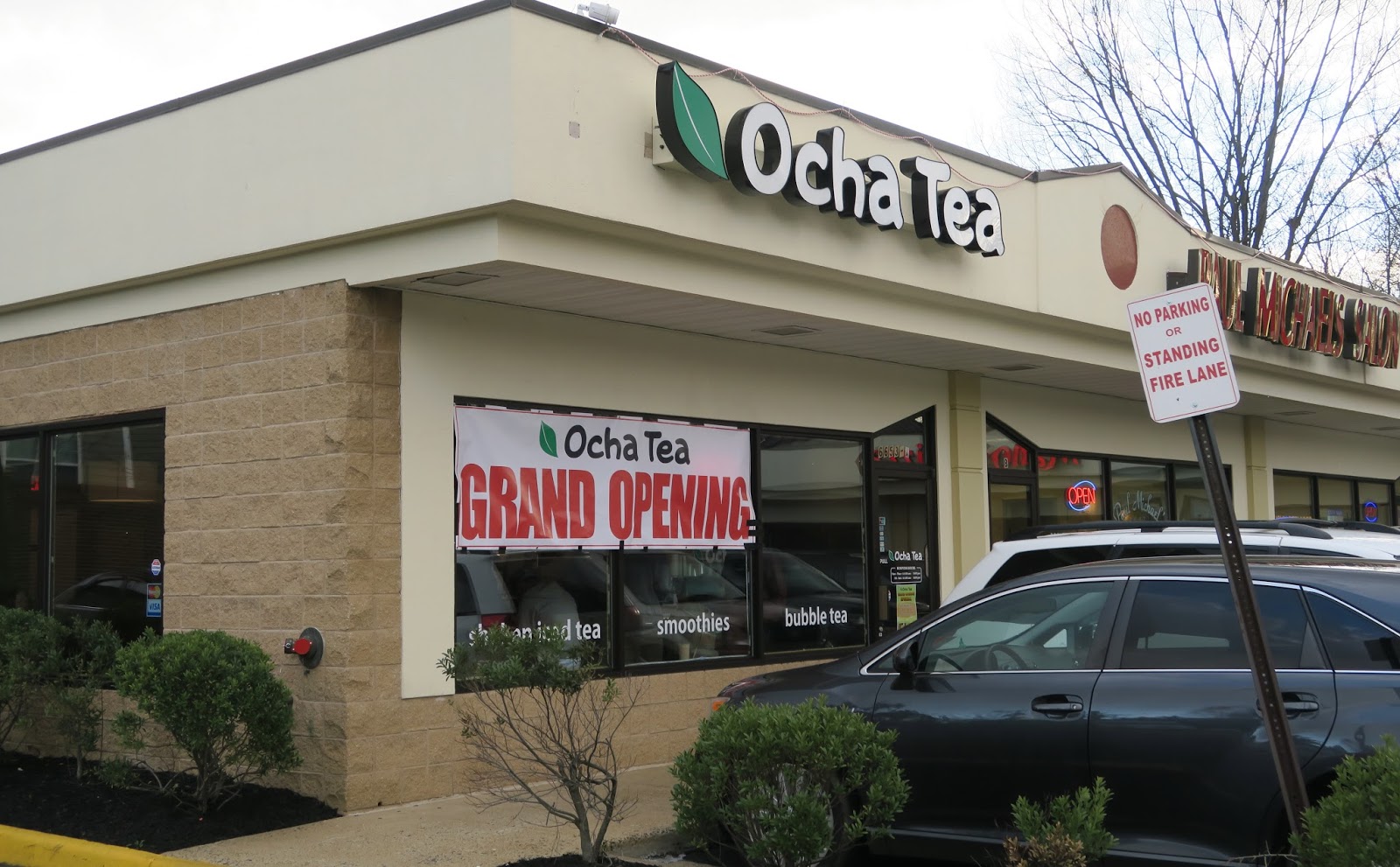 the Annandale Blog Tea shop opens in Annandale