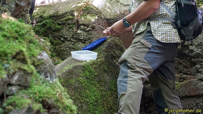 Klaire S Kleine Welten Inside Out January 2016