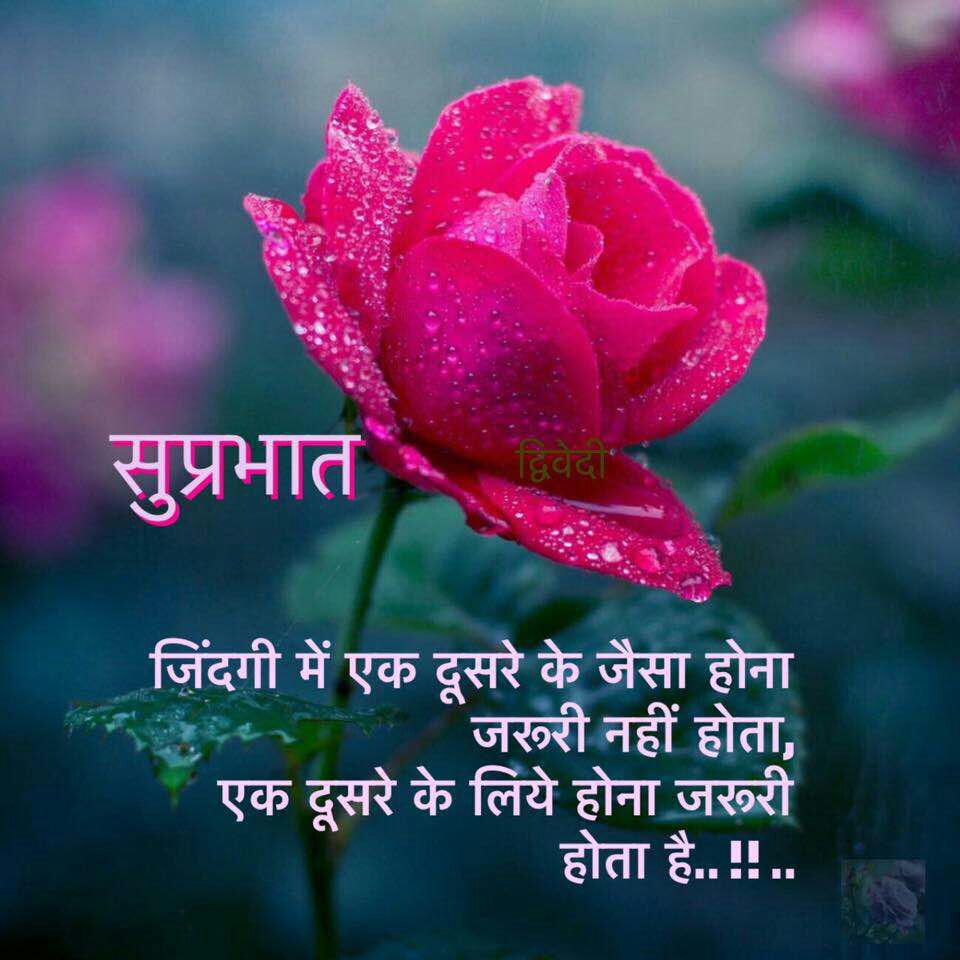 Good Morning Sms For Bhabhi In Hindi Hindi Sms Funny Jokes Shayari Love Quotes