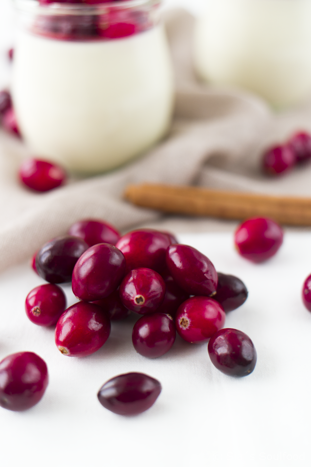 sia´s soulfood foodblog: Joghurt-Panna Cotta mit Cranberry-Kompott