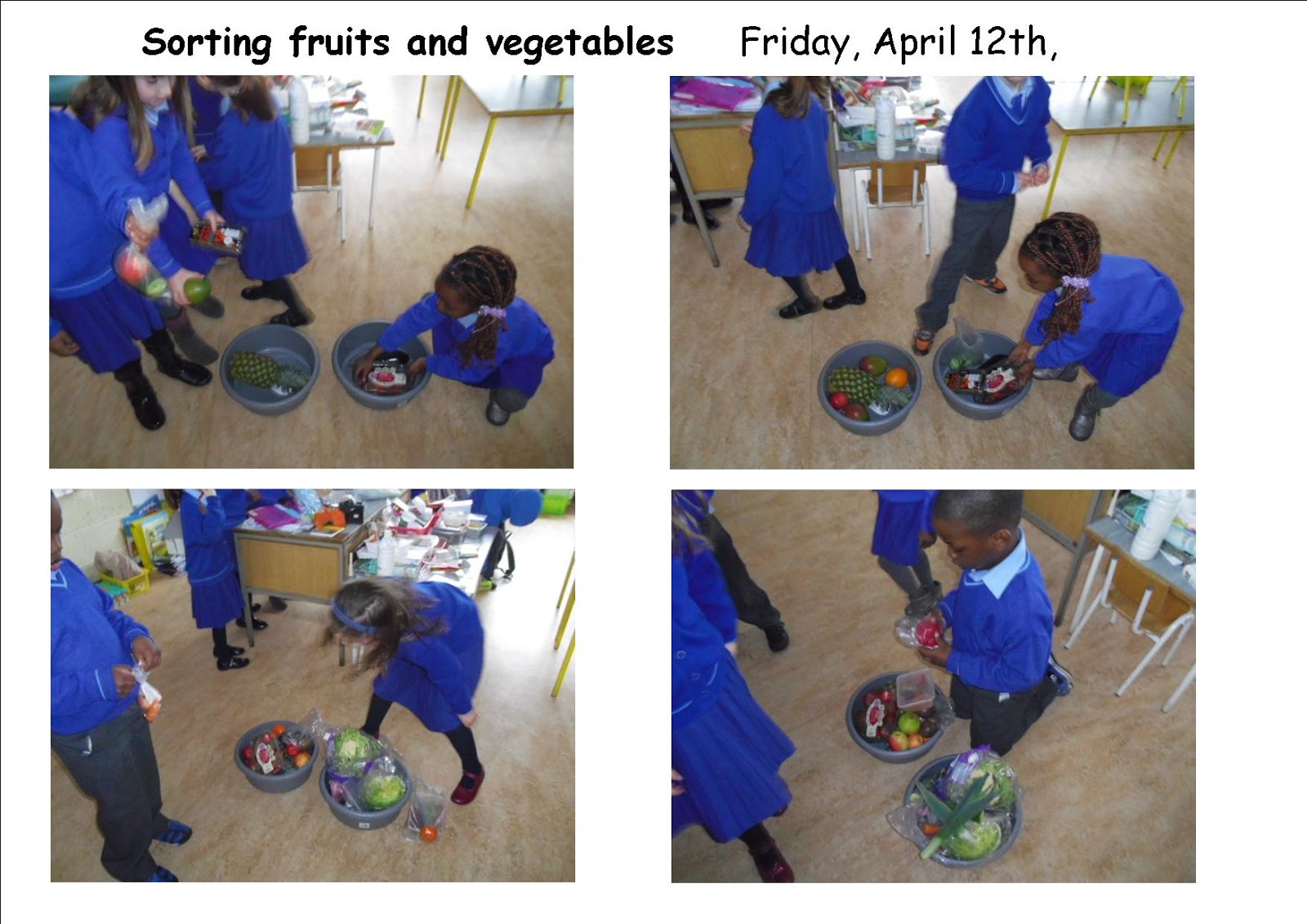 Science Projects: Our sense of taste