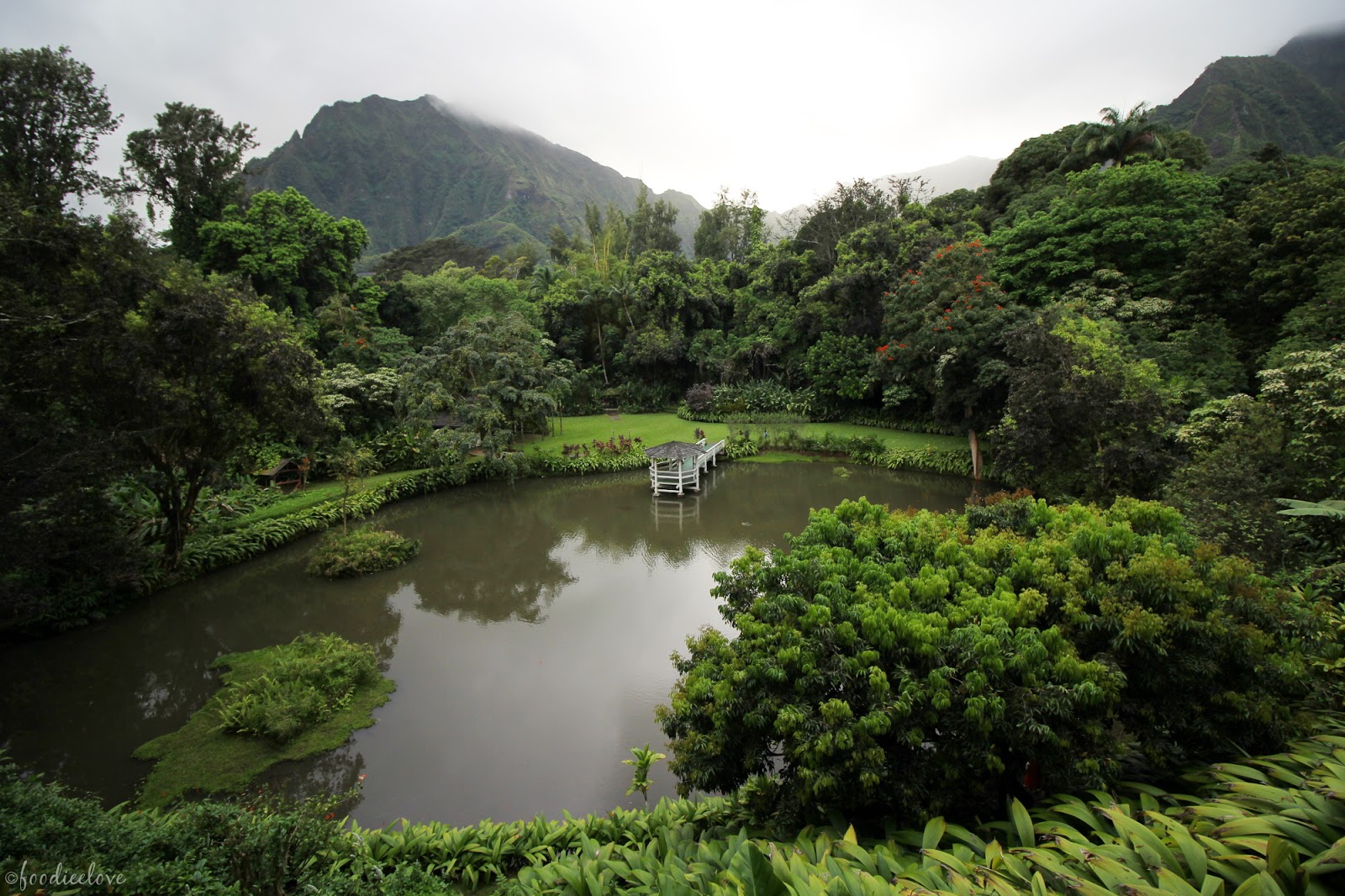 Haleiwa Joe's (Haiku Gardens) Foodieelove