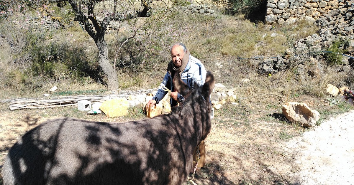 Aldea Ecorural El manantial del mas del Senyor, Vilar de Canes