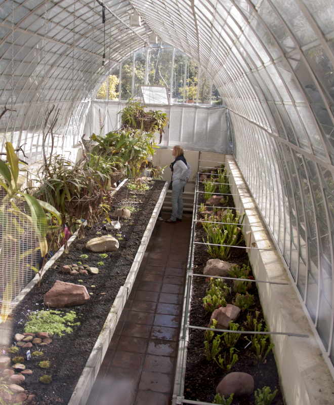 Viveros Vangarden: El destino de nuestras plantas - Carnivoras