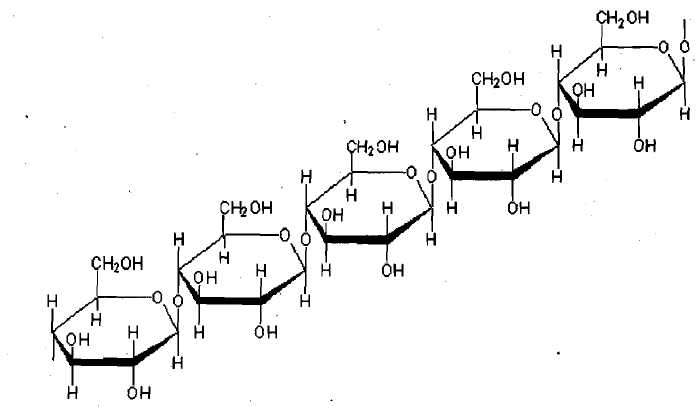 Meat Technology Classification Of Carbohydrates