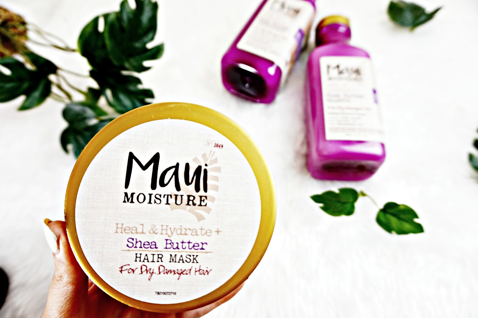 Top 5 Best Deep Conditioners for Natural Hair xoNecole