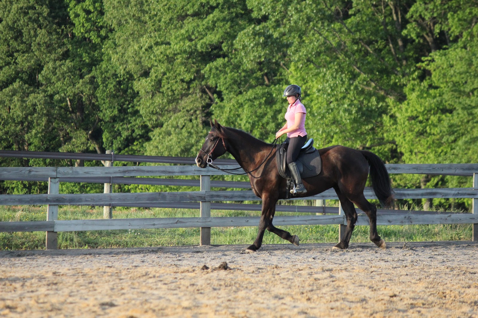 Just Horses Kate & James Cooler of Cooler Horsemanship