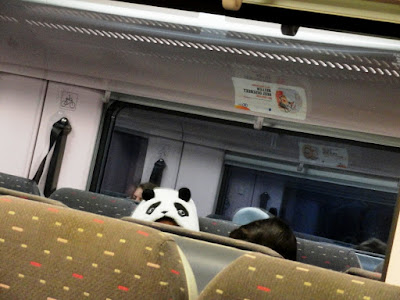 Panda of second class