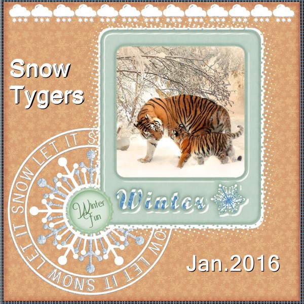 Jan.2016 - Snow Tygers