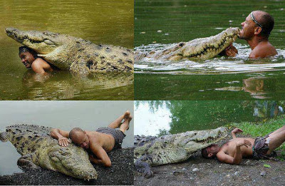 A Crocodile and the man who saved him