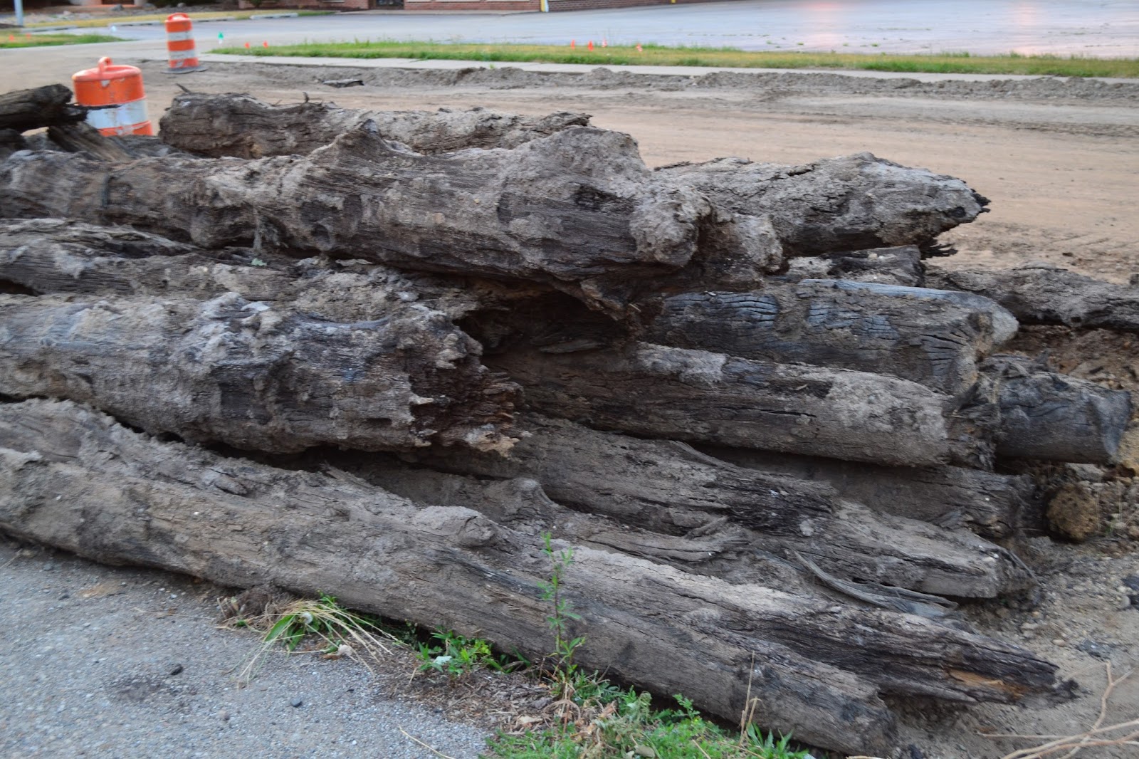 Last Day Local Historical Corduroy Road Uncovered