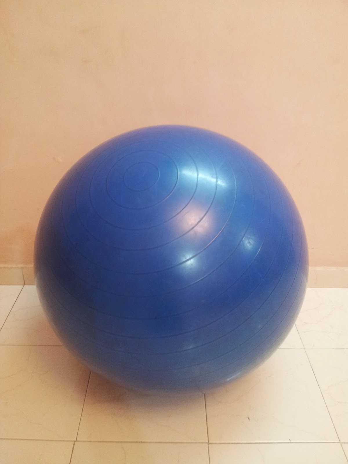 Sports and Community Physiotherapy Exercises on the Gym Ball