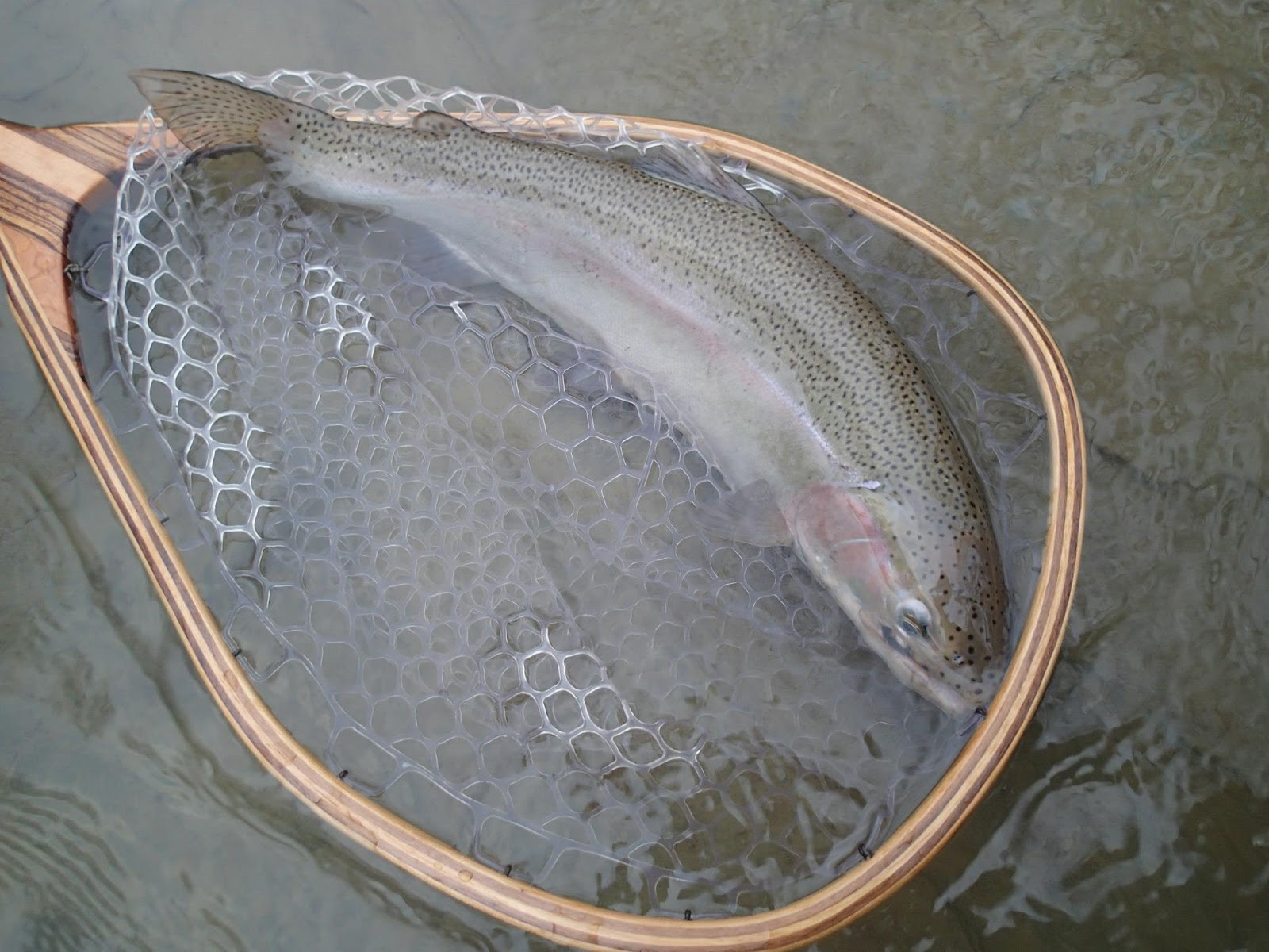 Rogue Wood Works Steelhead guide nets.