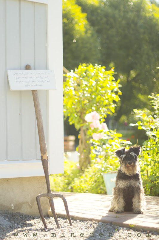 Det viktiga är inte vad vi gör med trädgården, utan vad vår trädgård 