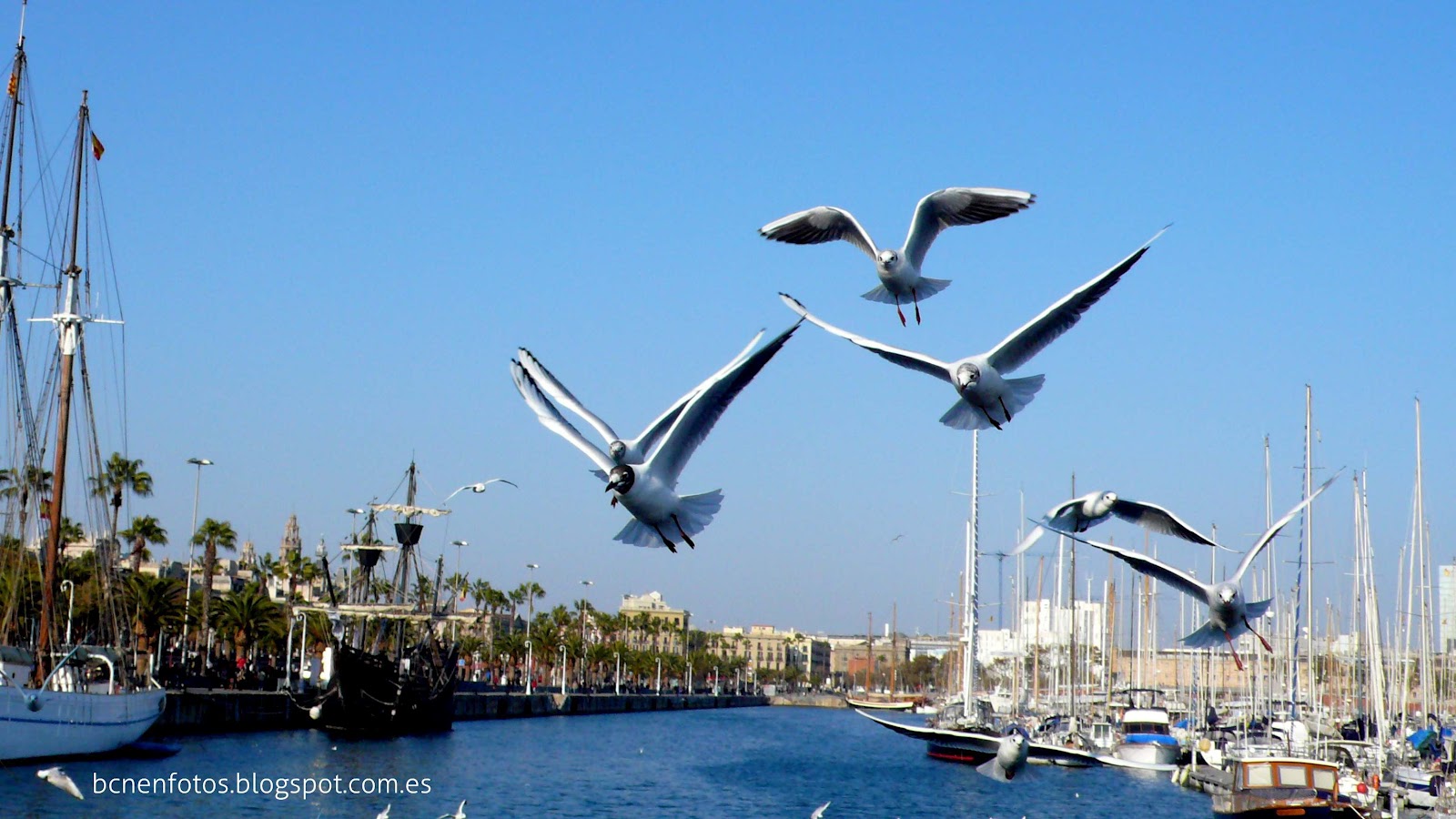 Mi Barcelona El Moll de la