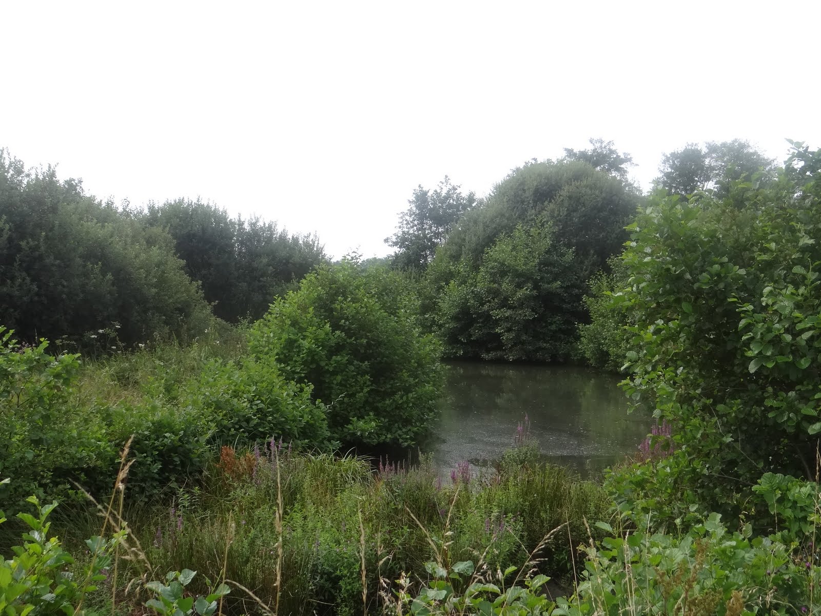 Mes randonnées Le Lac des Miroirs CondetteHardelot
