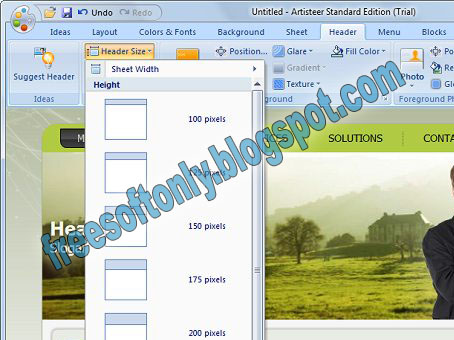 artisteer licence artisteer licence
