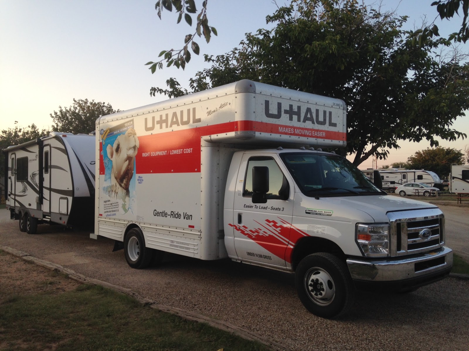 10,000 miles for Tiger Blue Wednesday, Sept 6 through Monday, Sept 11