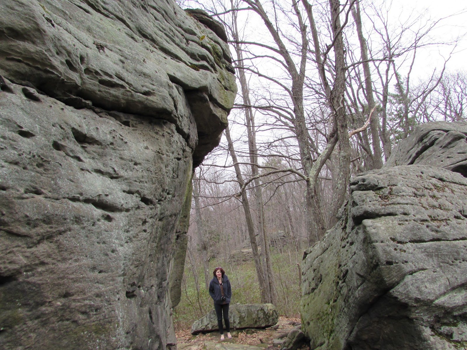 Bear Creek Pa >> Beartown Rocks: A Rock City in Clear Creek State Forest ... Bear Creek Pa >> Beartown Rocks: A Rock City in Clear Creek State Forest ...