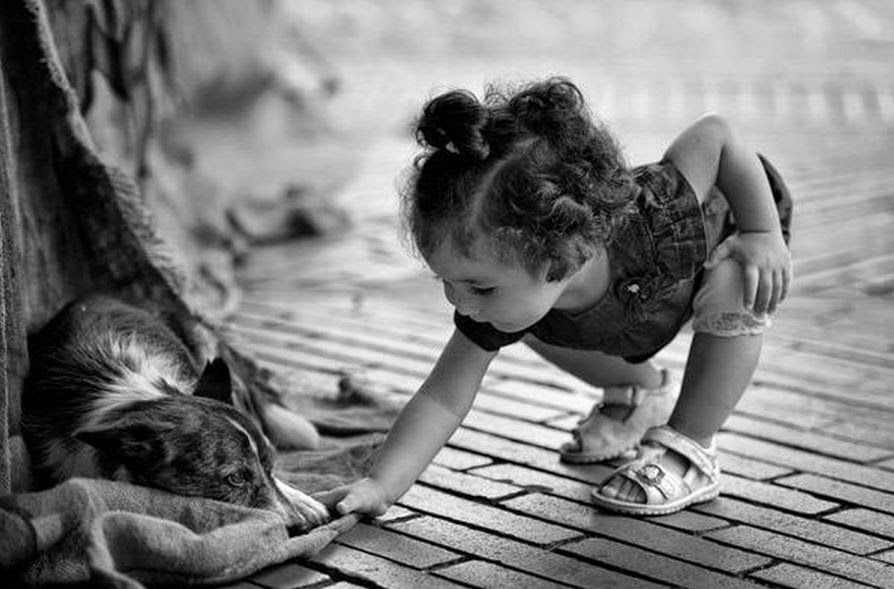 Fotografía para principiantes: Fotografía Espontanea