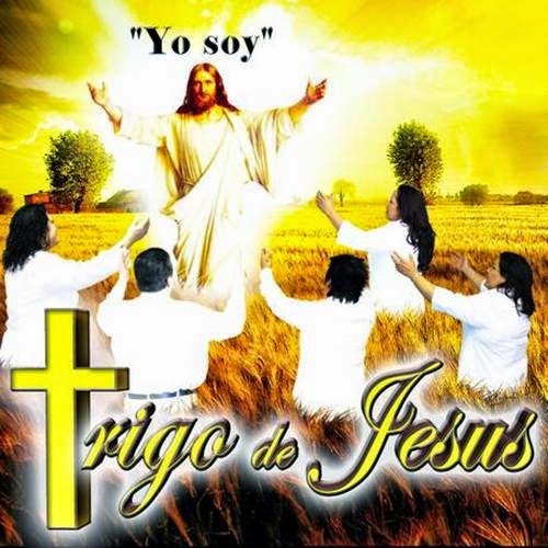 MUSICA CATOLICA: Trigo de Jesus - Yo Soy (2012)
