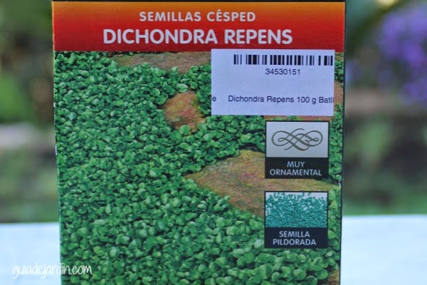 Paso a paso: Resembrando en primavera las zonas dañadas del césped