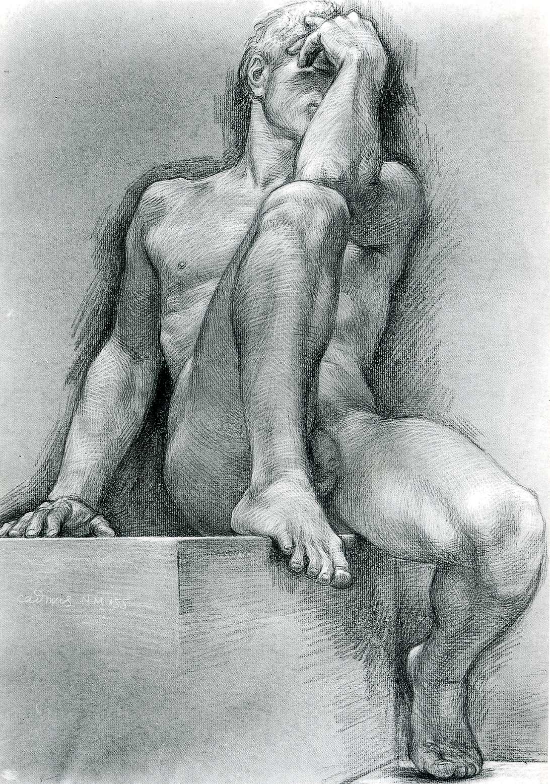 Nude Male Drawings 59