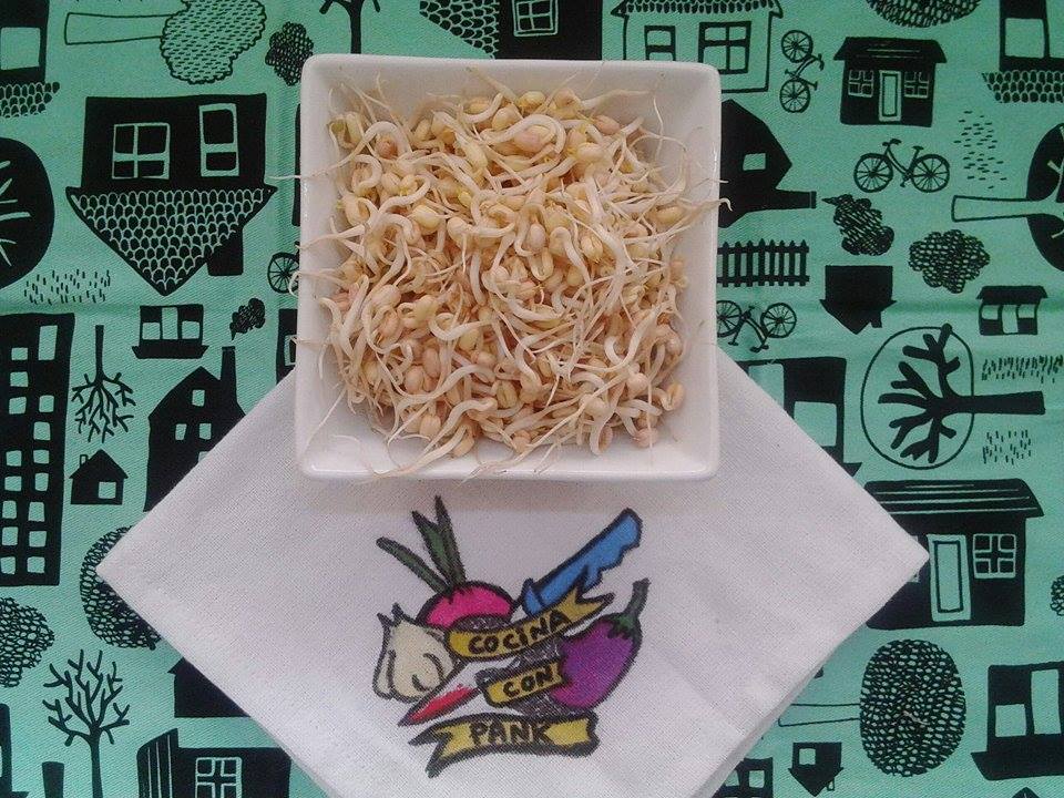 germinados de lentejas valor nutricional