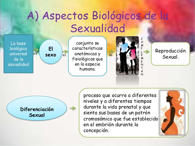 Aspectos biologicos de la sexualidad