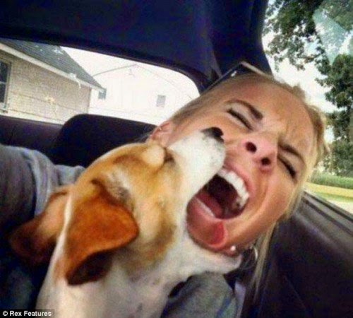 Scientists Link Selfies To Narcissism, Addiction & Mental Illness - The Pet Selfie (If you want to post a picture of your pet, post a picture of your pet.)