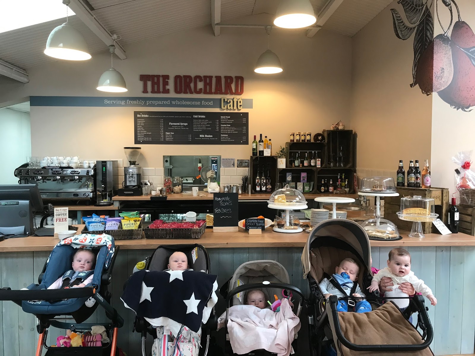 The Orchard Cafe, Welland Vale Garden Centre, Uppingham Millie, Me