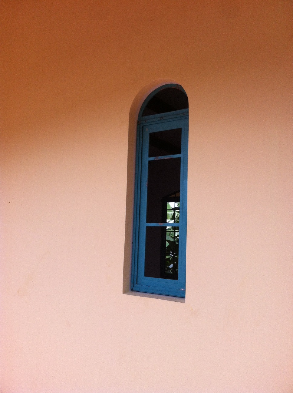 Costa Rica Rose: Windows and Doors, Windows and Doors!