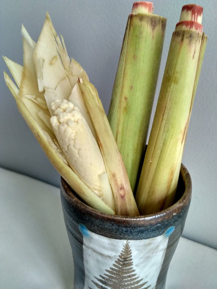 Chic Vegetarian Cuisine OMG! Is sugar cane flower!