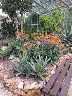ピサ植物園の温室