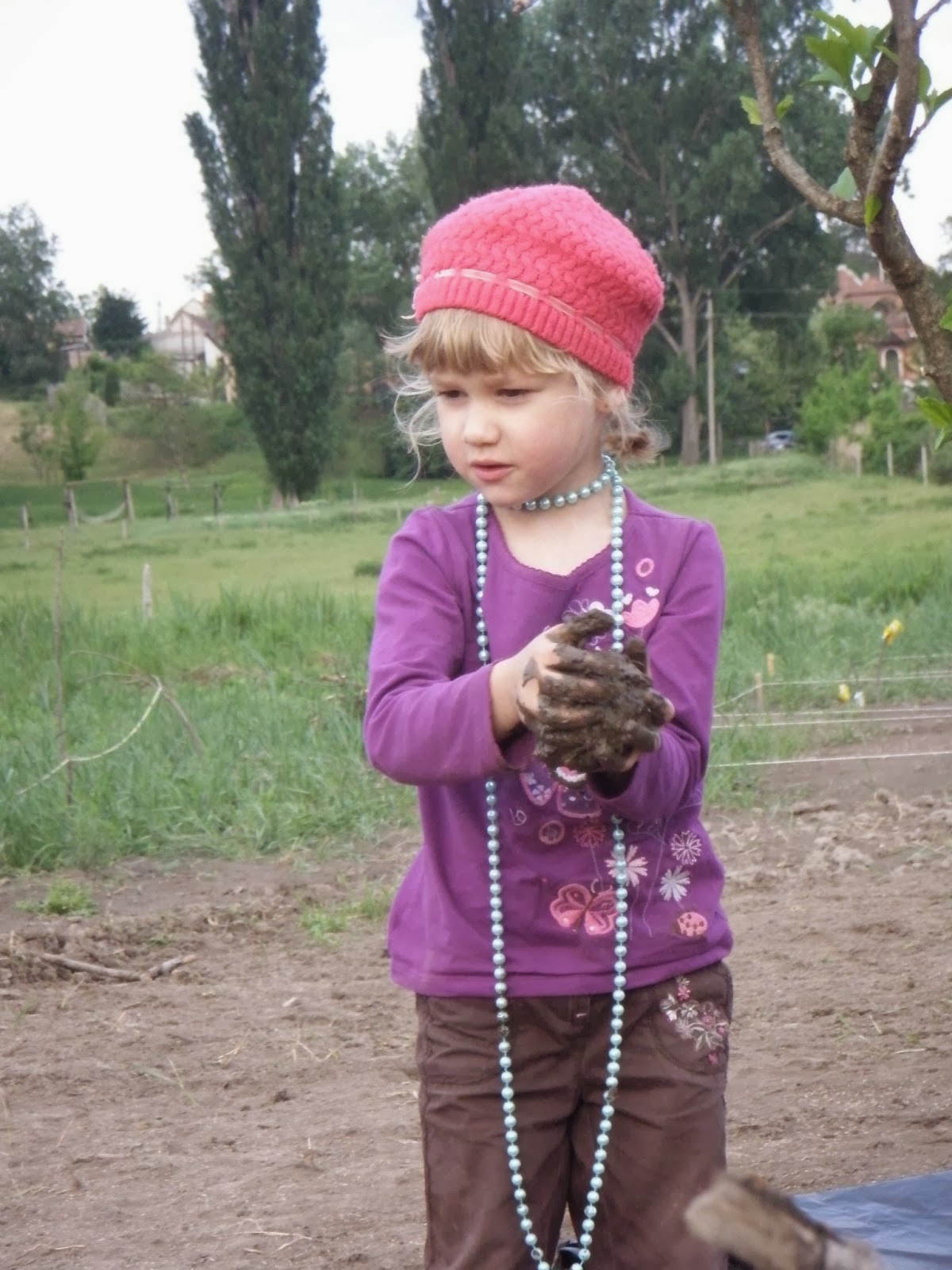 Dunakeszi közösségi kert - Dunakert: biozöldség - gyerekkel, családdal, együtt