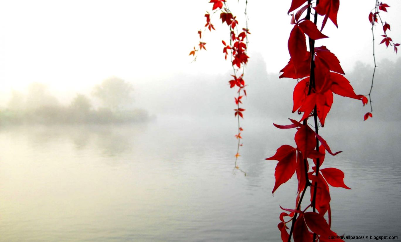 Ubuntu wallpaper Ubuntu system diagram 29415   Desktop Wallpapers