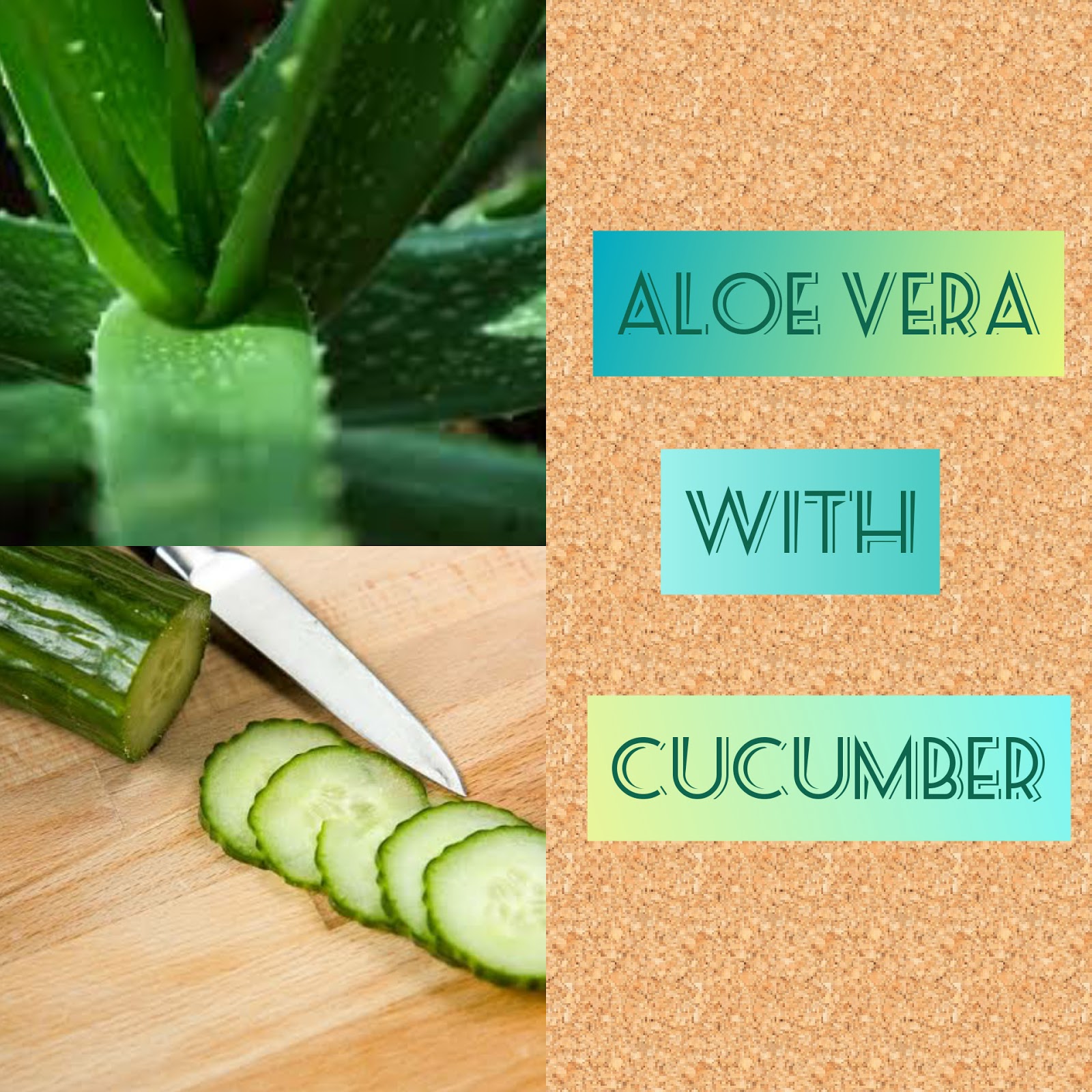 8 way to use aloe vera for remove dark circle Lifestyle Ever
